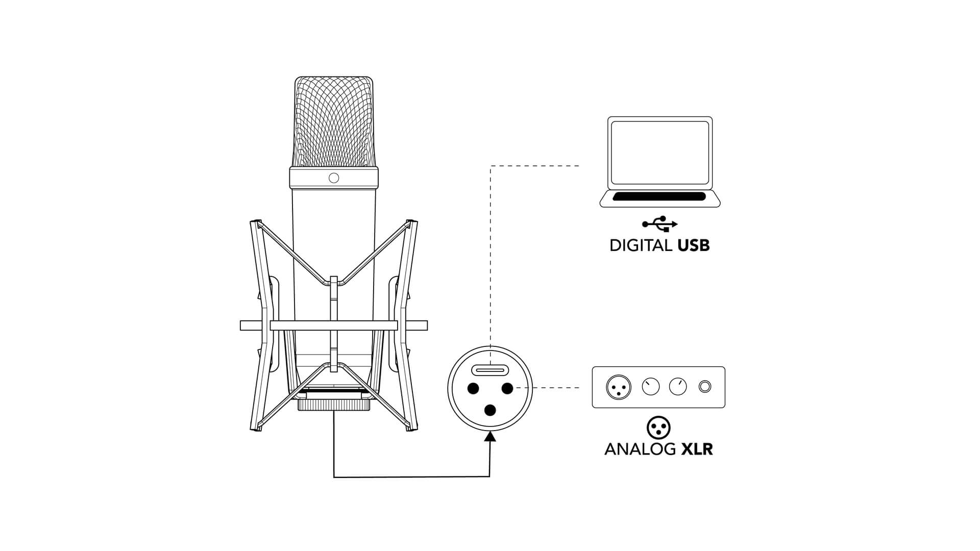 NT1 5th Generation XLR and USB connectivity diagram